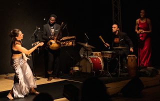 Mbira, foto di Carlo Carmazzi 