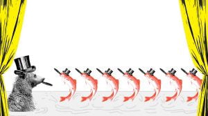 MERCOLEDIdaSALMONIsito-300x168_b